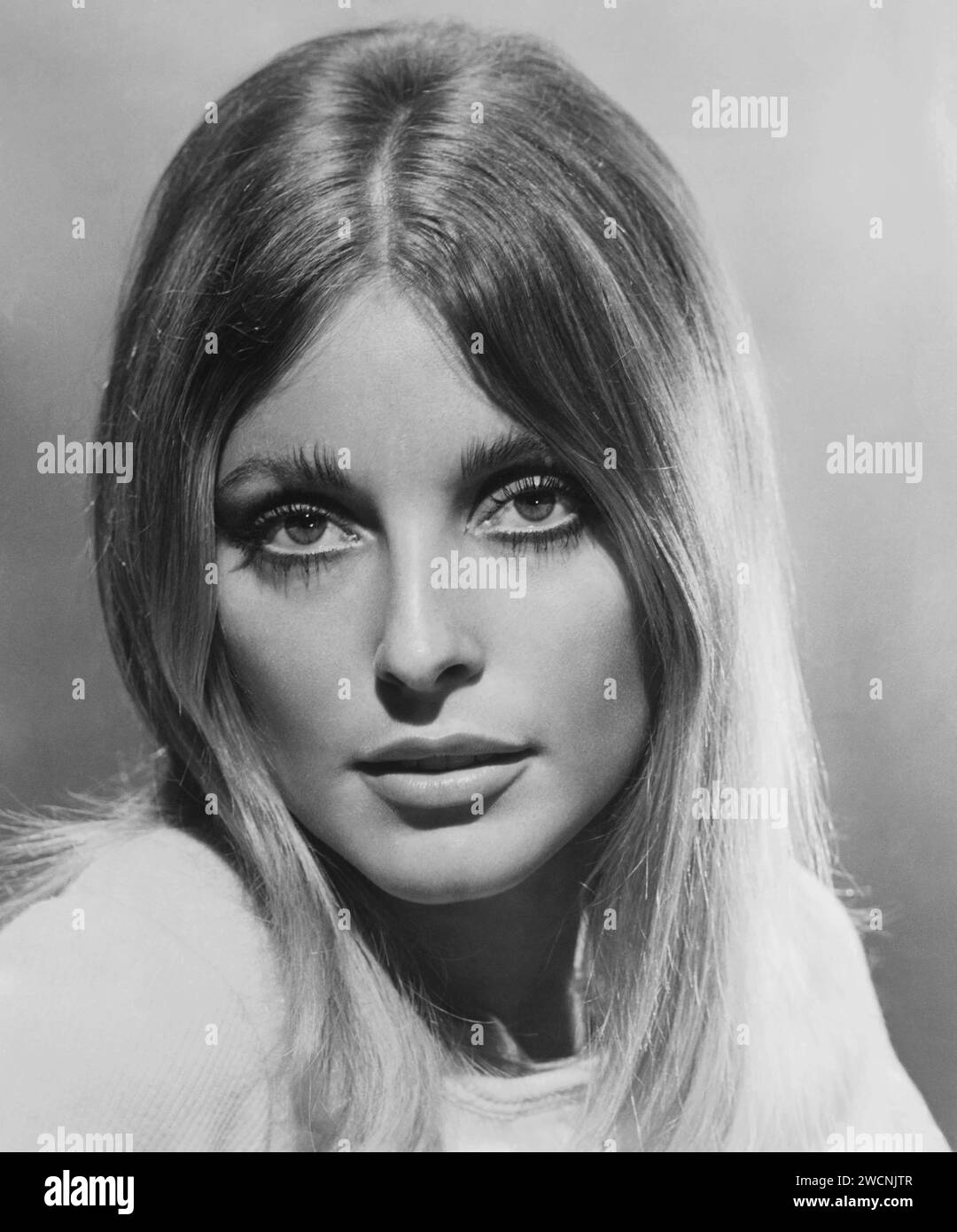 Actress Sharon Tate from the 1967 film Valley of the Dolls. Sharon Marie Tate Polanski (1943 – 1969) American actress who was murdered by members of the Manson Family Stock Photo