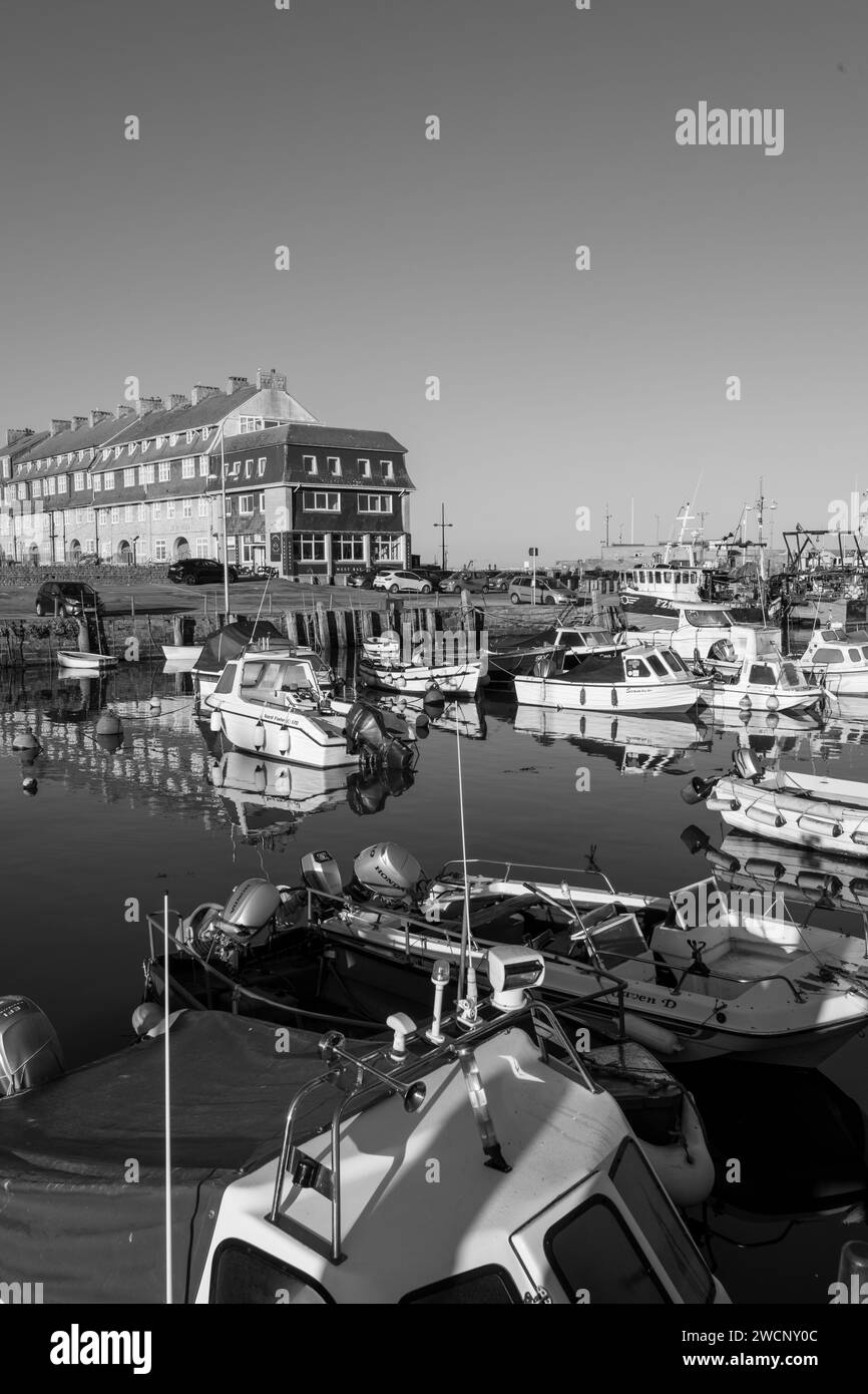 Fishing boats moored in West Bay harbour in Dorset Stock Photo - Alamy