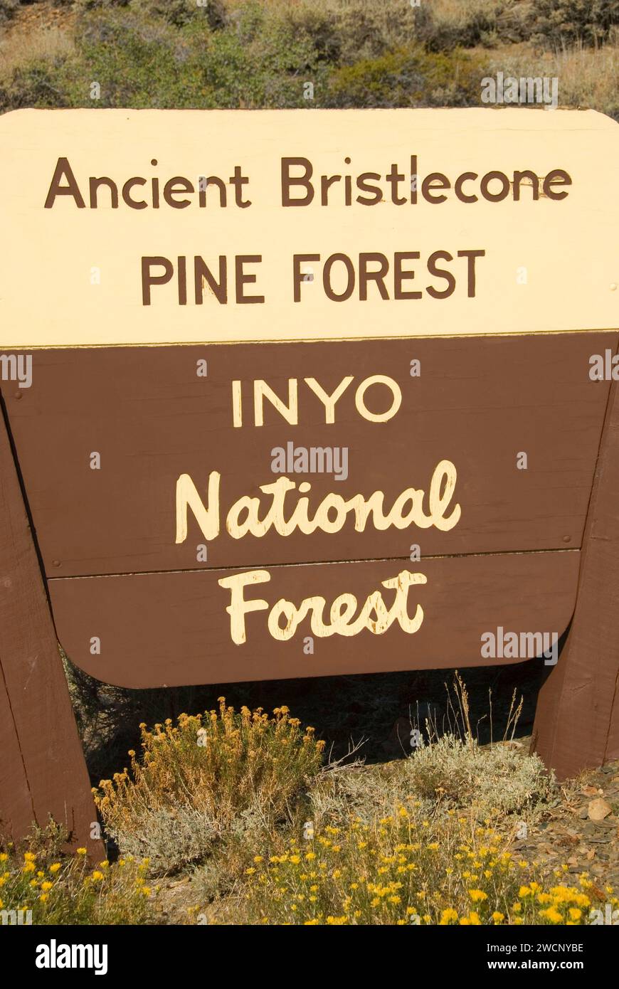 Entrance sign, Ancient Bristlecone Pine Forest, Ancient Bristlecone National Scenic Byway, Inyo National Forest, California Stock Photo