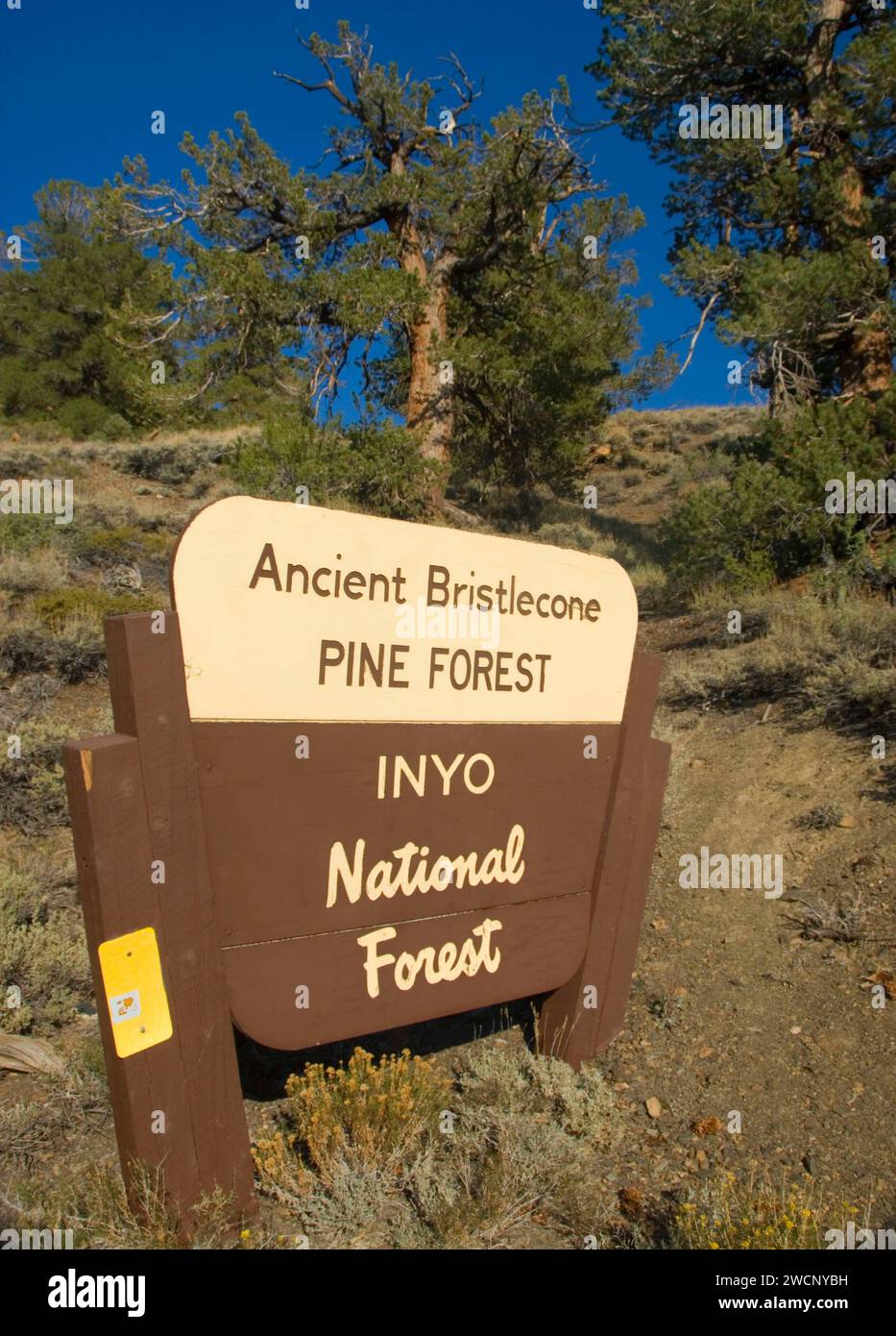Entrance sign, Ancient Bristlecone Pine Forest, Ancient Bristlecone National Scenic Byway, Inyo National Forest, California Stock Photo
