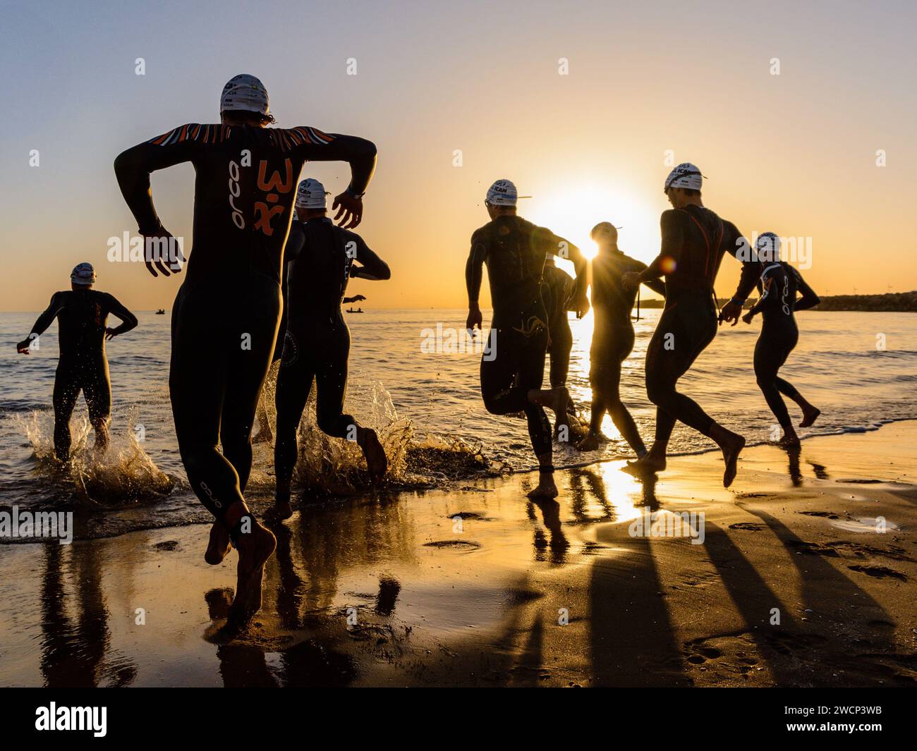 Triathletes in wetsuits running into the sea during a beautiful sunrise to start the competition on the beach of Gandia, Valencia, Spain Stock Photo