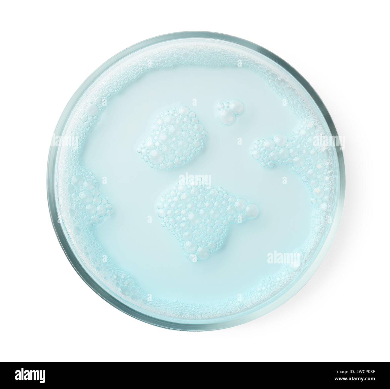 Petri dish with light blue liquid sample on white background, top view ...