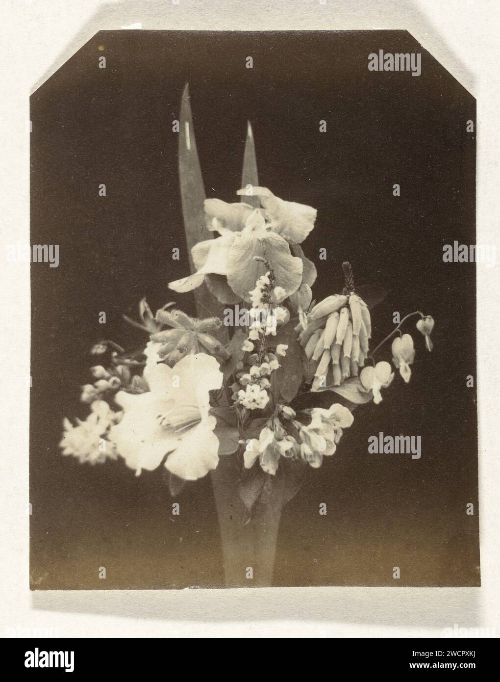 Bloemstilleven, Anonymous, 1855 - 1900 photograph  Great Britain (possibly) paper albumen print cut flowers; nosegay, bunch of flowers Great Britain Stock Photo