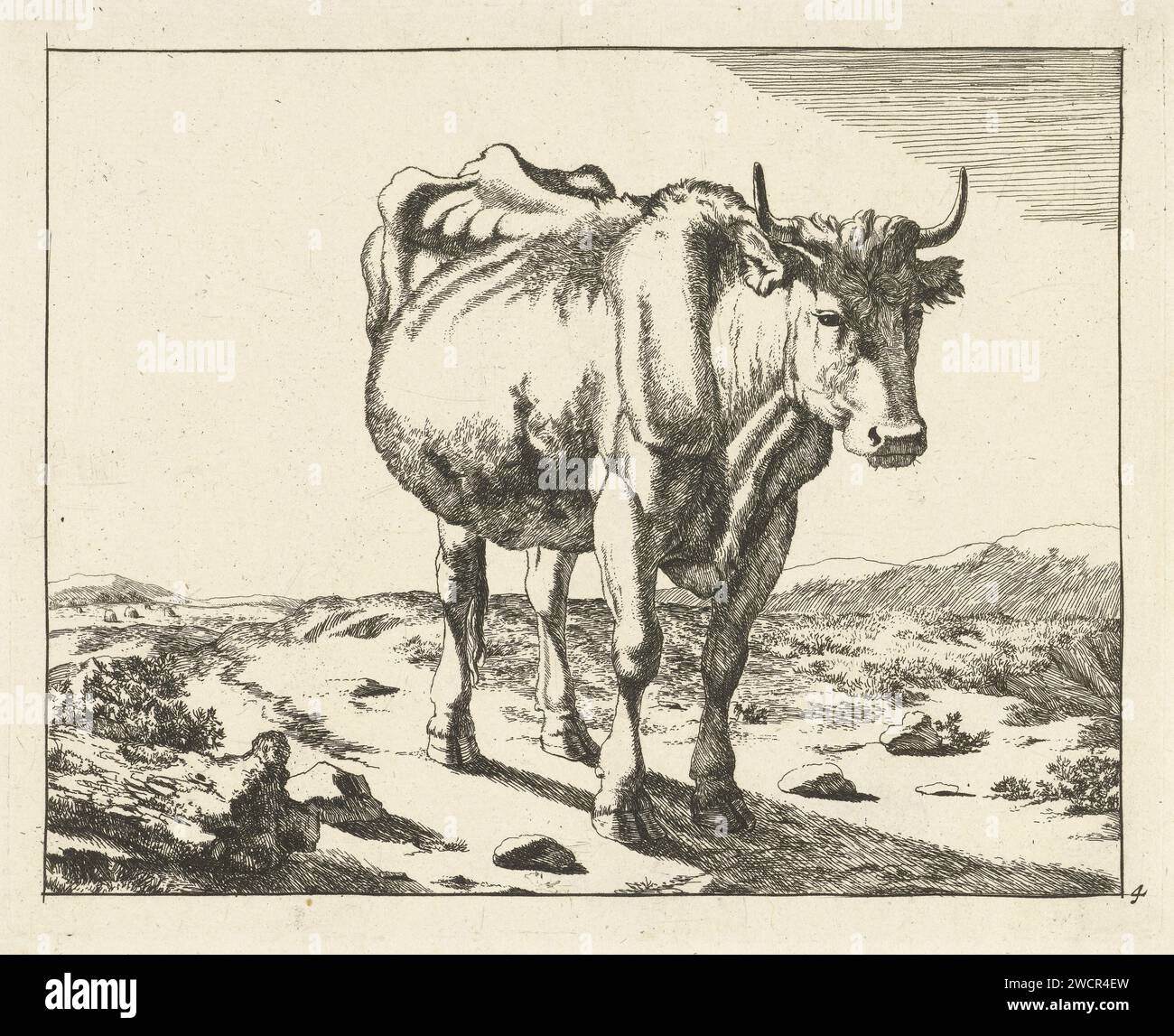 Old naturalistic etching style hi-res stock photography and images - Alamy