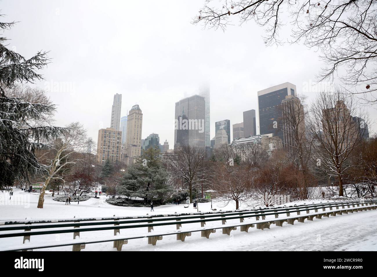 Ny central park is the biggest city hi-res stock photography and images ...