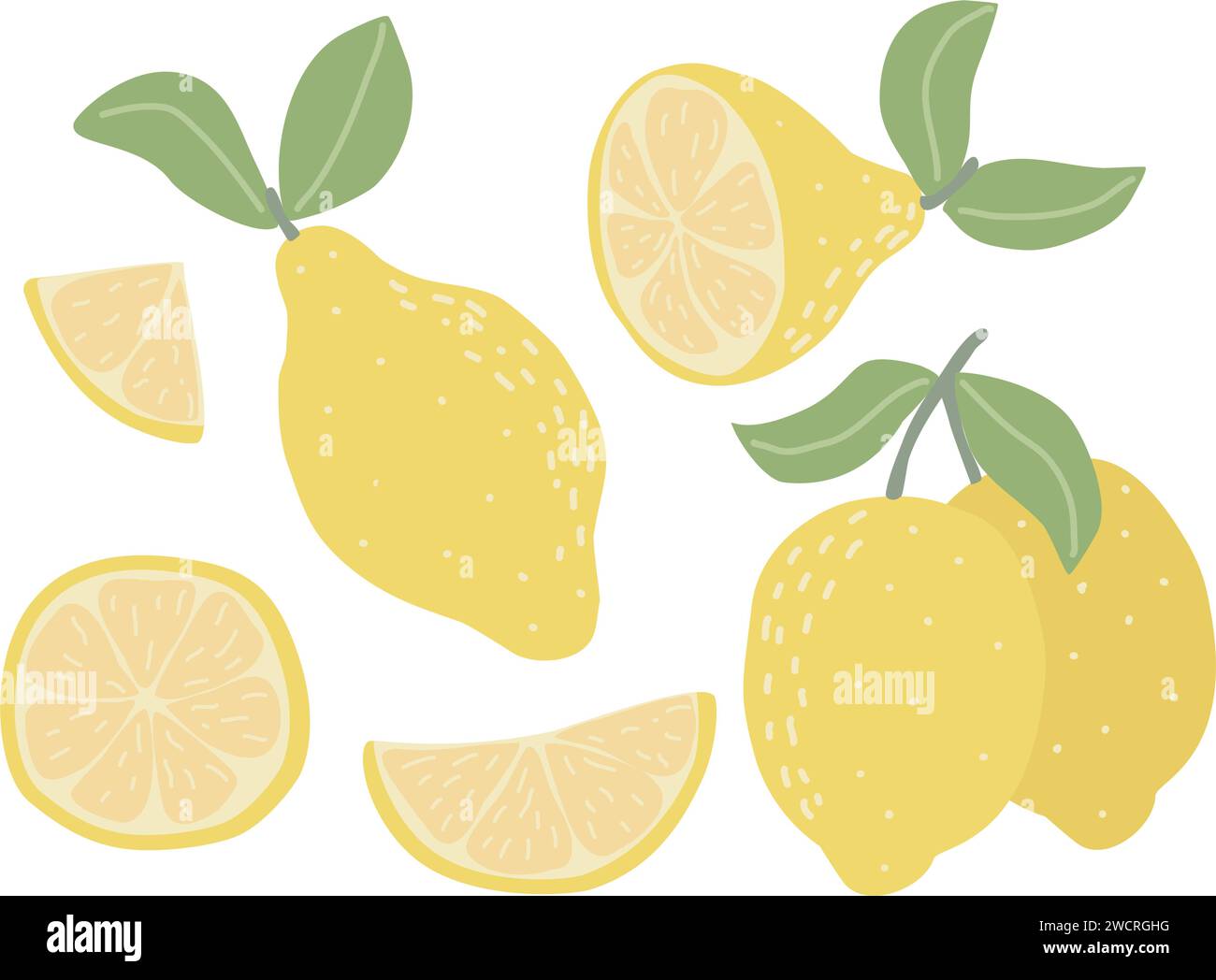 Modern set of lemons isolated on white background Stock Vector Image ...