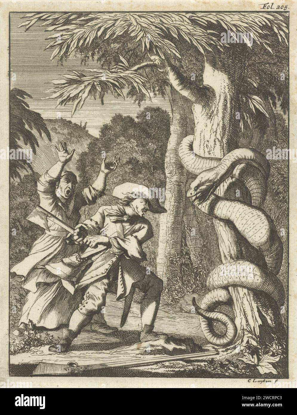 Giant hose, wrinkled around a tree, attacked by a man with ax, Caspar Luyken, 1694 print Print at the top right marked: fol. 205. print maker: Amsterdampublisher: Utrecht paper etching man killing animal. snakes Stock Photo