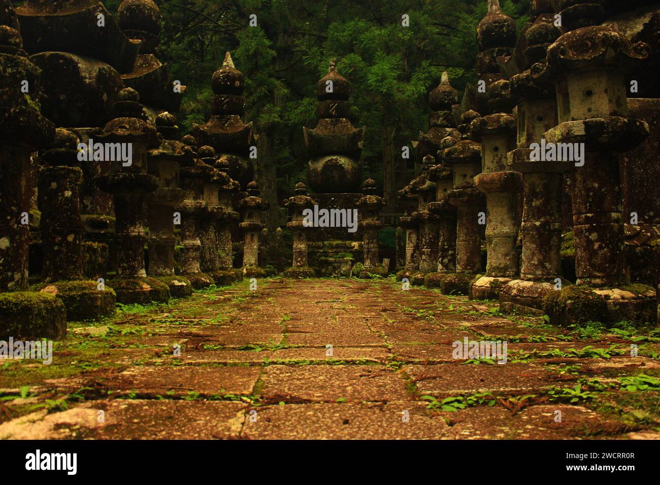 Okunoin Cemetery Koyasan Stock Photo