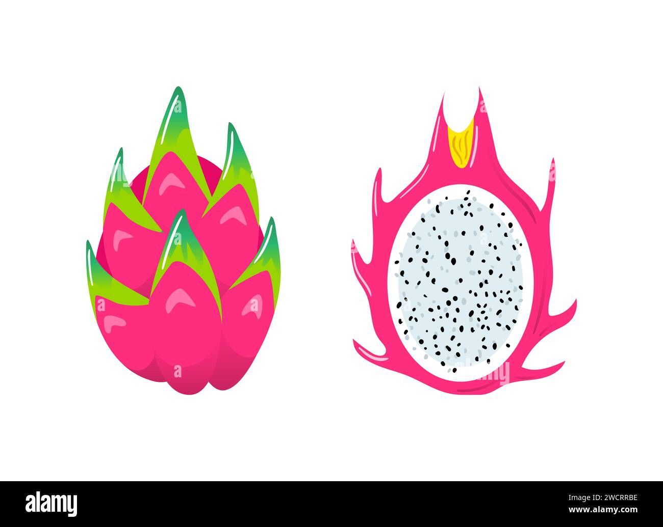 Pitahaya. Dragon fruit. Healthy food, vegans. Veganuary. Cactus. Vector illustration in flat style. For menu, cafe stickers posters design elements Stock Vector