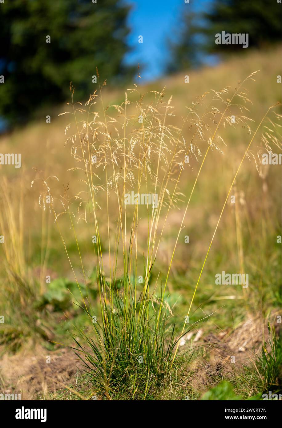 Sloping ridge hi-res stock photography and images - Alamy