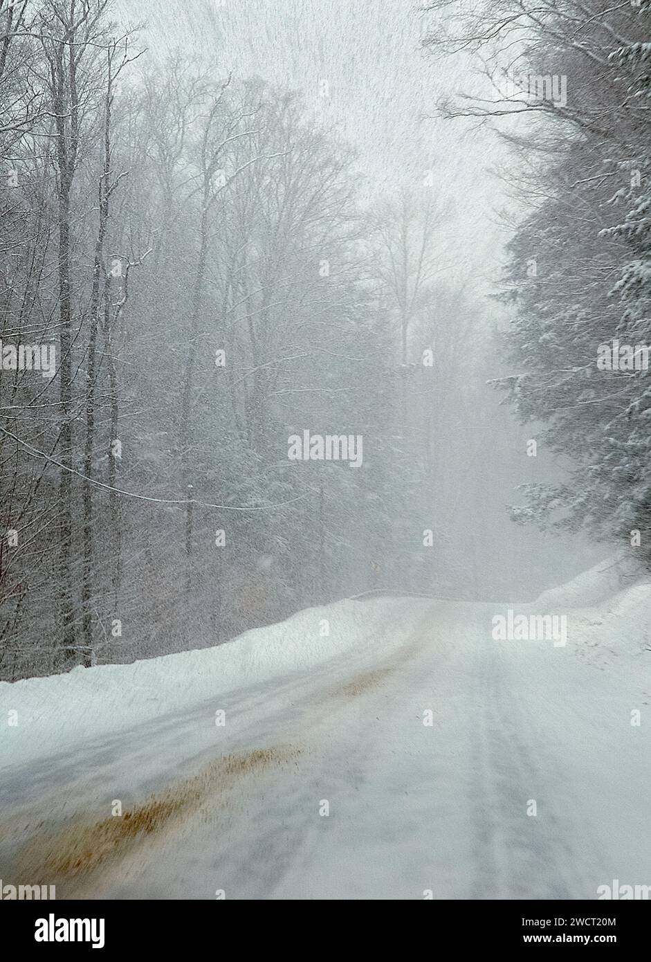 A Road through Allegheny National Forest in Pennsylvania, USA Stock