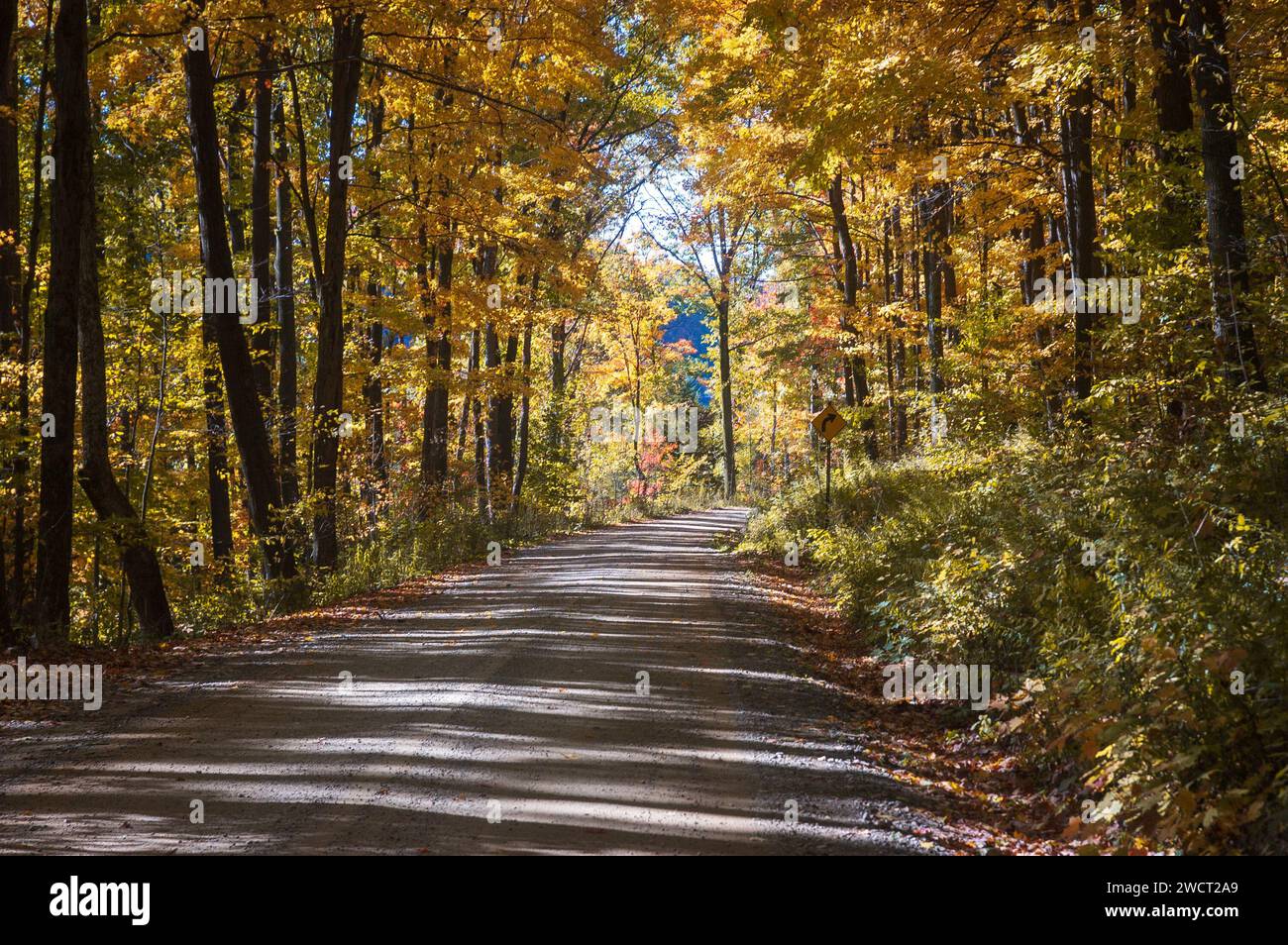 A Road through Allegheny National Forest in Pennsylvania, USA Stock