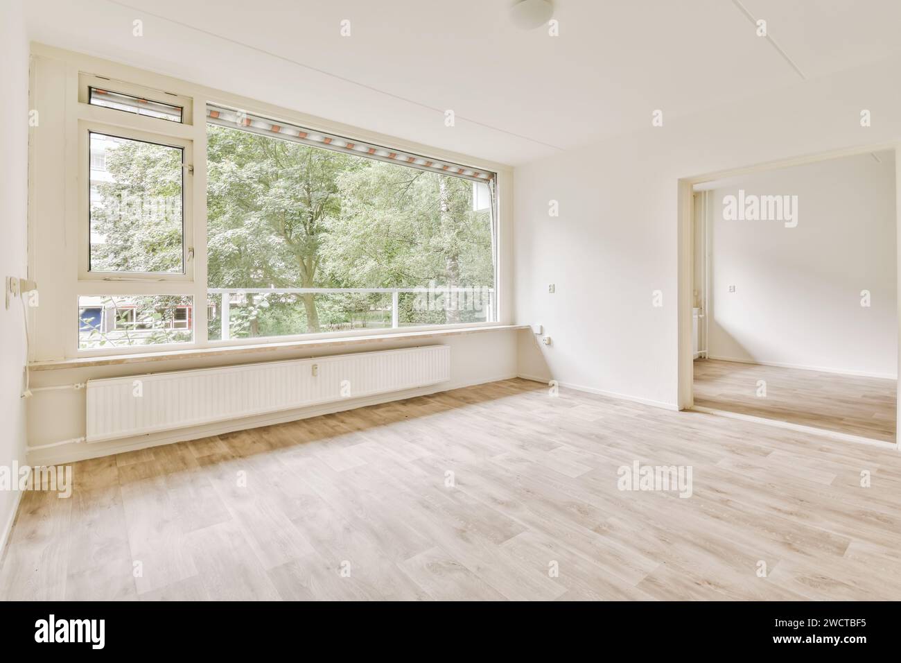 How to Maximize Natural Lighting in Your Urban Apartment - Green Urban Apartments With Ample Natural Light