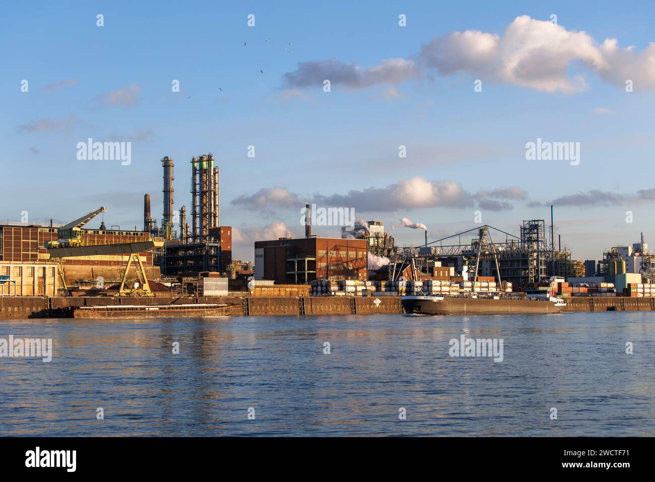 view over the Rhine to the Chempark, former known as the Bayerwerk, Leverkusen, North Rhine-Westphalia, Germany.  Blick ueber den Rhein zum Chempark, Stock Photo