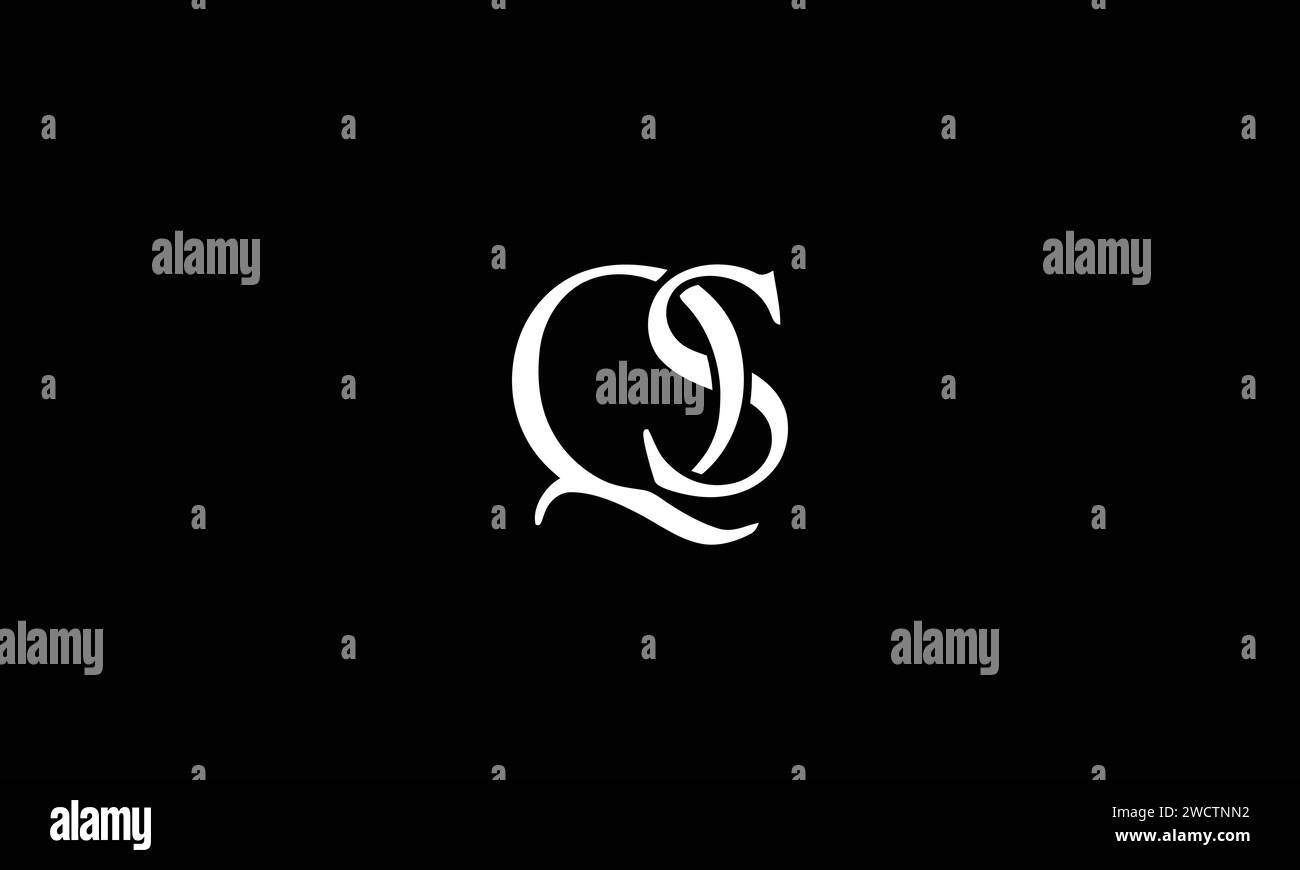 QS logo vector design template Stock Vector