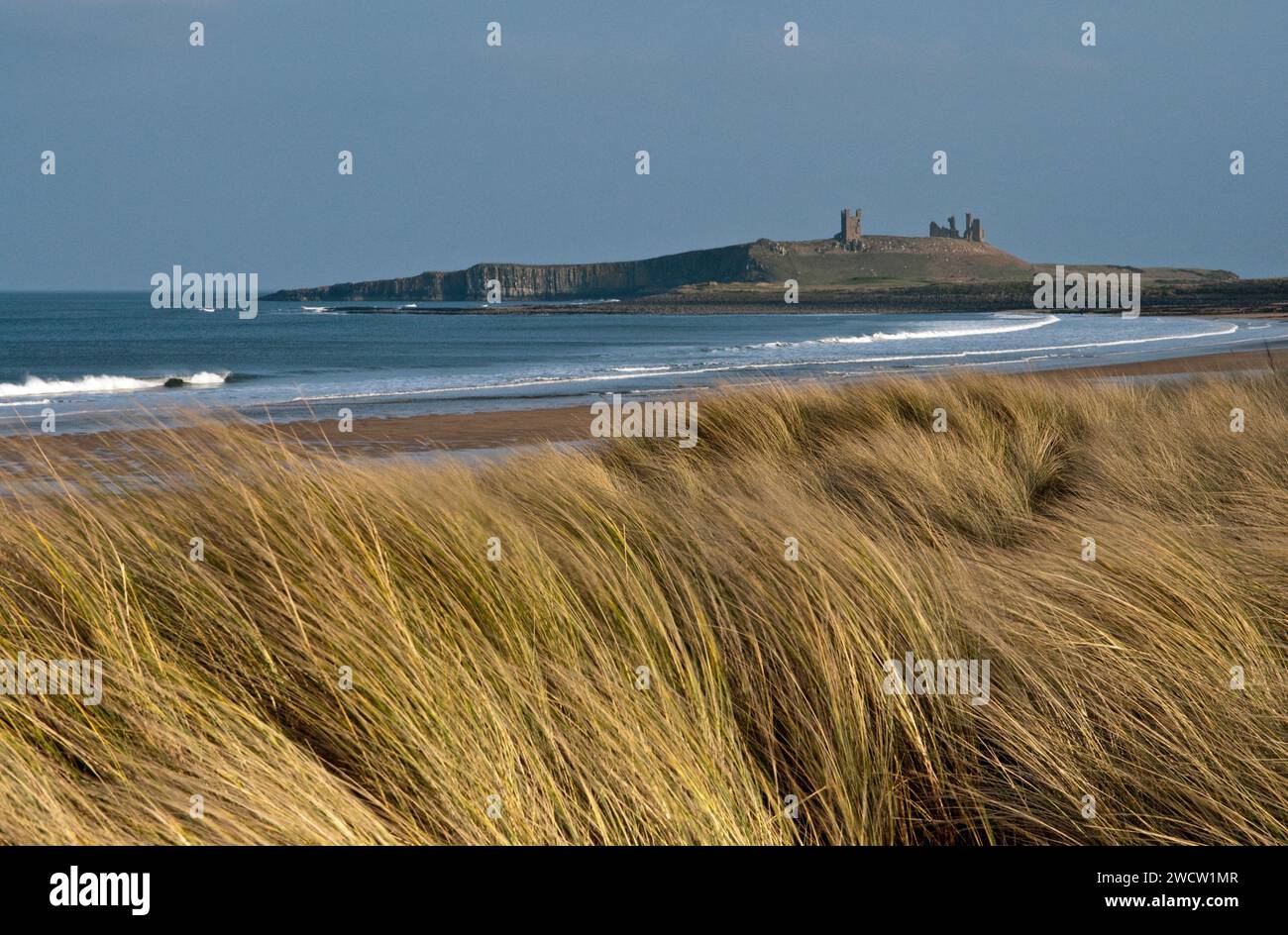 Embleton Bay and Dunstanburgh Castle on the Northumberland Coast in England on a sunny March day Stock Photo