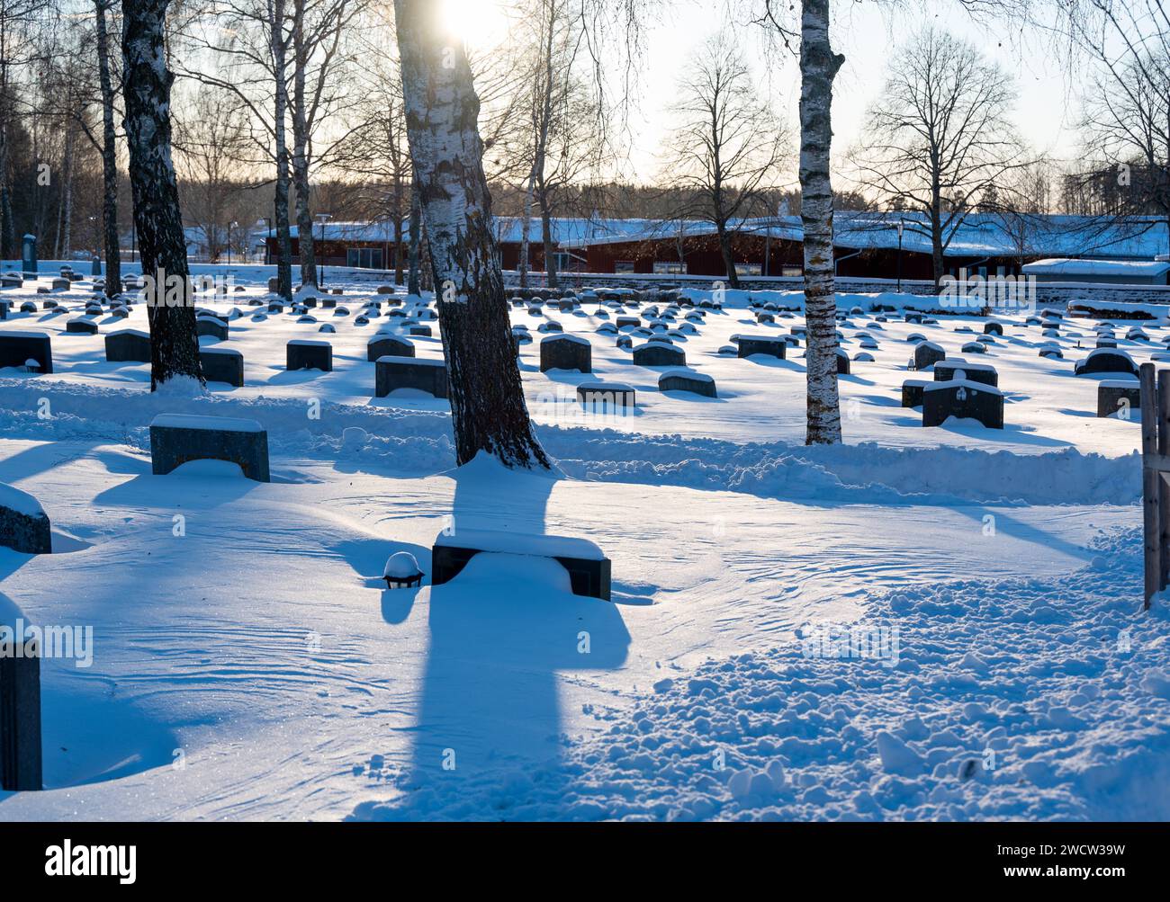 Backlight over graveyard with trees grave stones and snow Stock Photo