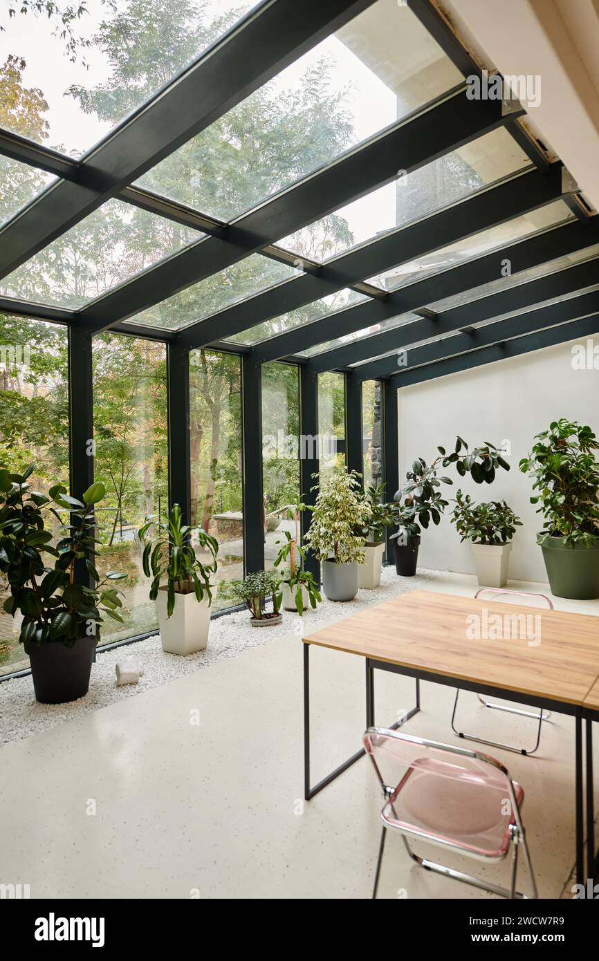 interior photo of contemporary empty meeting room with office table and green plants in pots Stock Photo