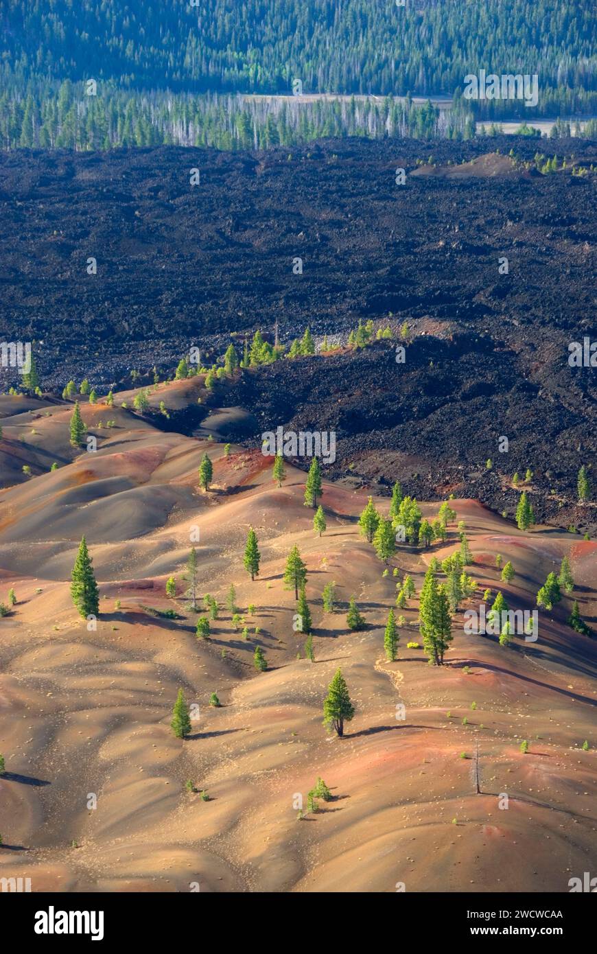 Fantastic Lava Flow from Cinder Cone, Lassen Volcanic National Park ...