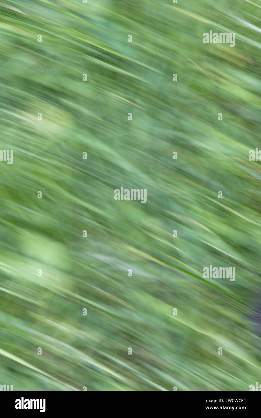 Back to movement hi-res stock photography and images - Alamy