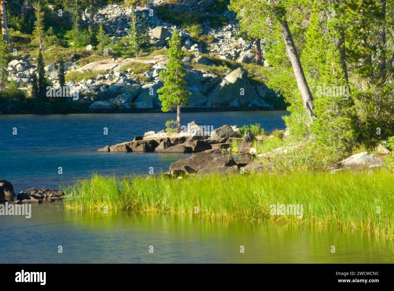 Big Bear Lake, Lakes Basin Recreation Area, Plumas National Forest