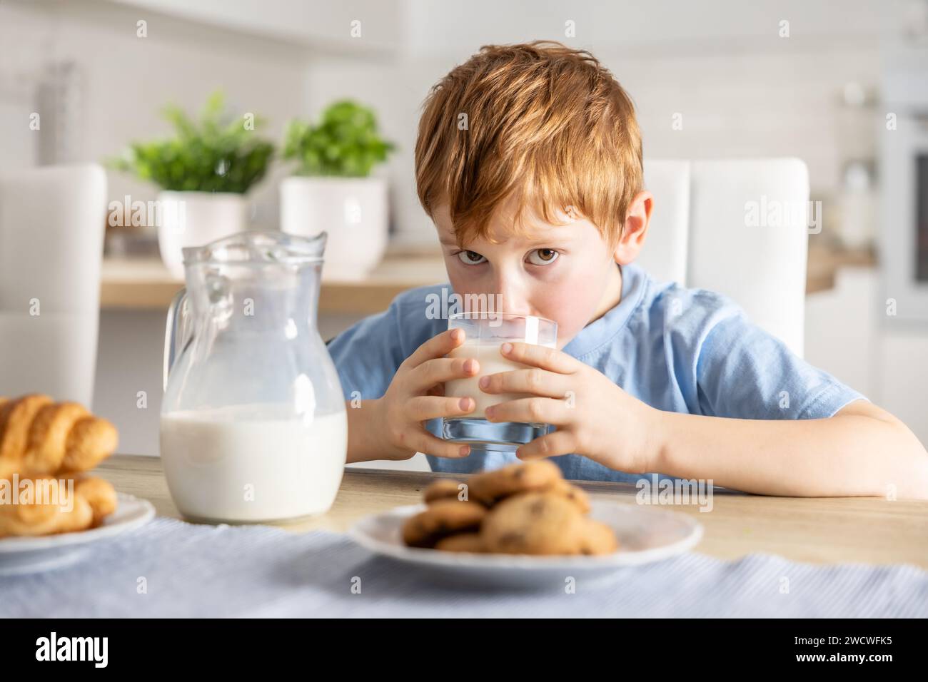 Cute boy drinks fresh milk for breakfast. Stock Photo
