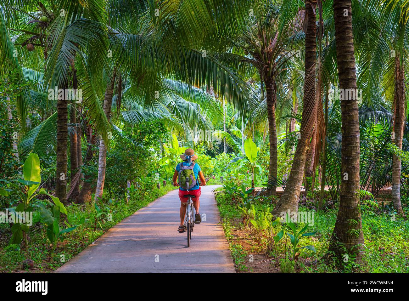 Vietnam, Mekong Delta, Ben Tre province, cycling tour on Long Thanh ...