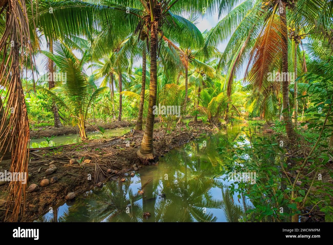 Vietnam, Mekong Delta, Ben Tre province, Con Oc Island Stock Photo