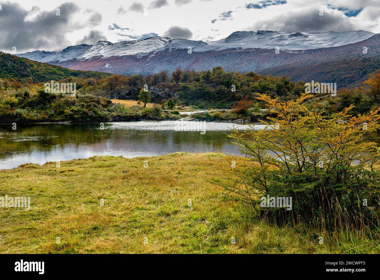 Tierra del Fuego National Park, Ushuaia, Argentina Stock Photo