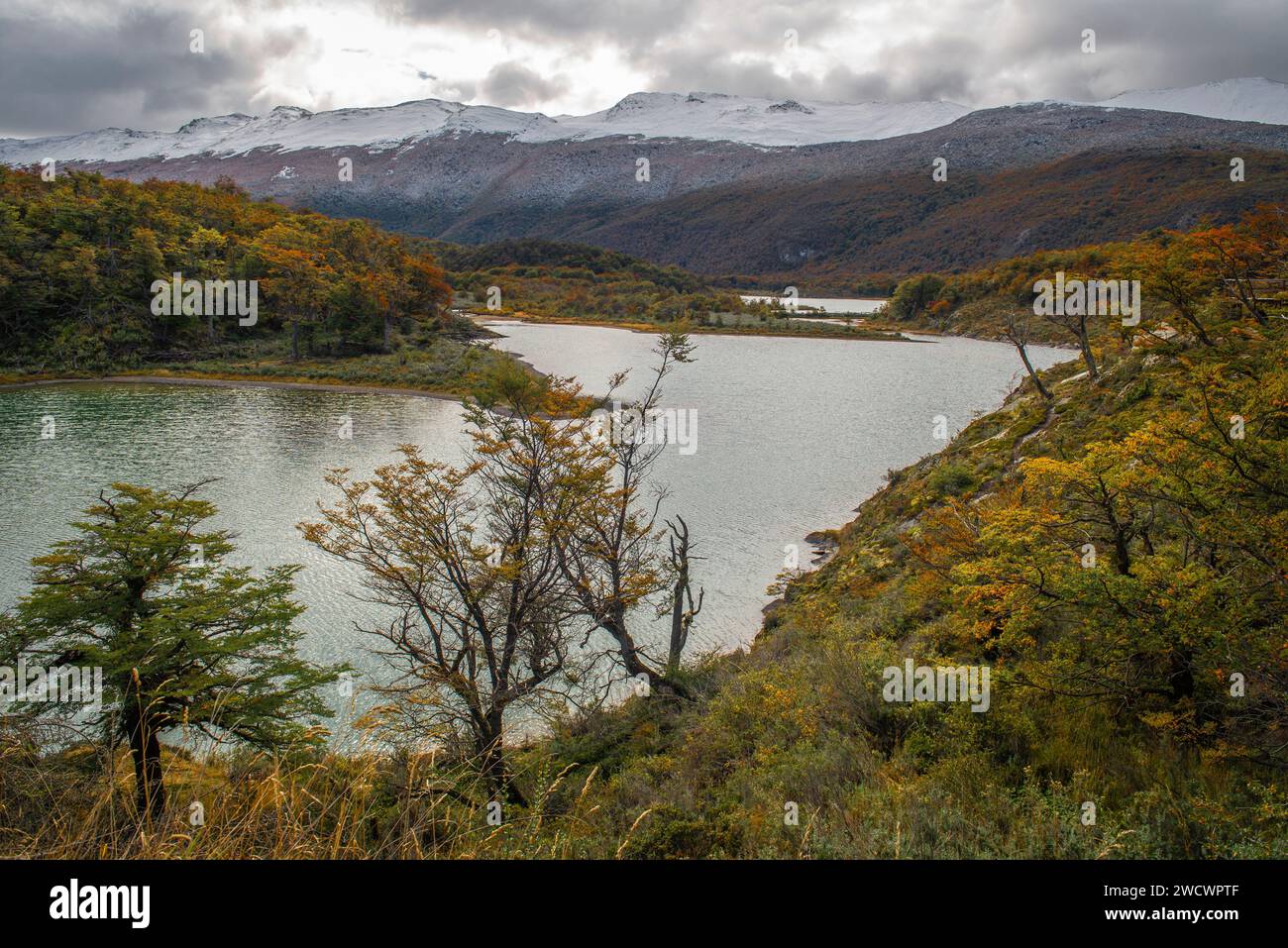 Tierra del Fuego National Park, Ushuaia, Argentina Stock Photo