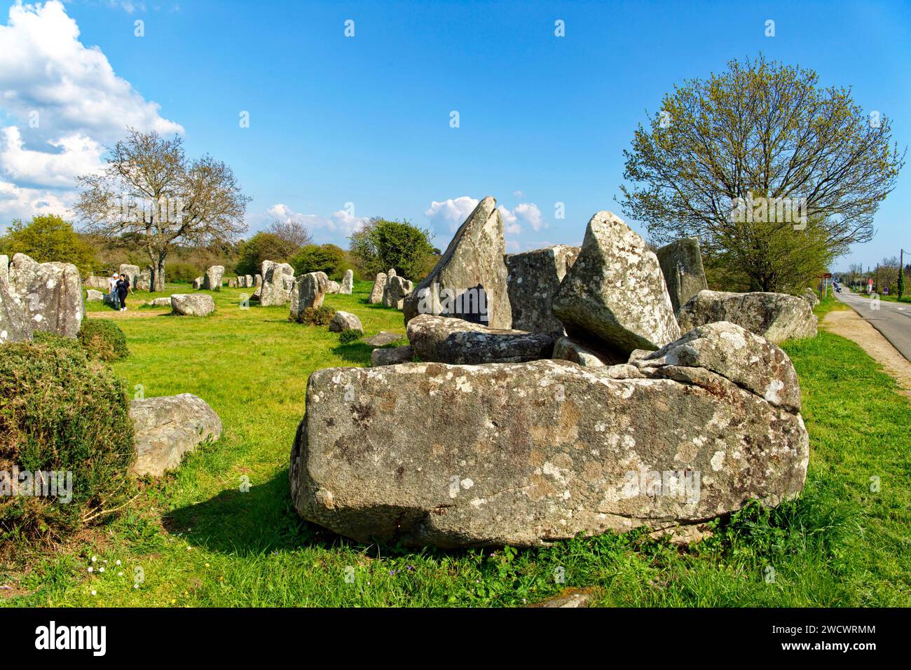 France, Morbihan, Erdeven, row of megalithic standing stones of Kerzerho Stock Photo