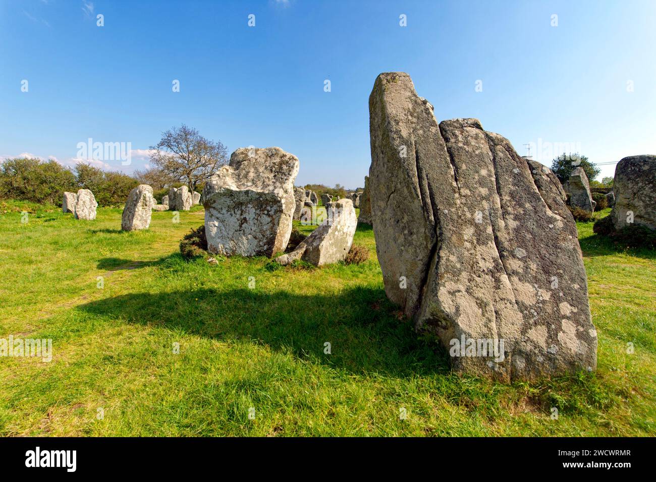 France, Morbihan, Erdeven, row of megalithic standing stones of Kerzerho Stock Photo