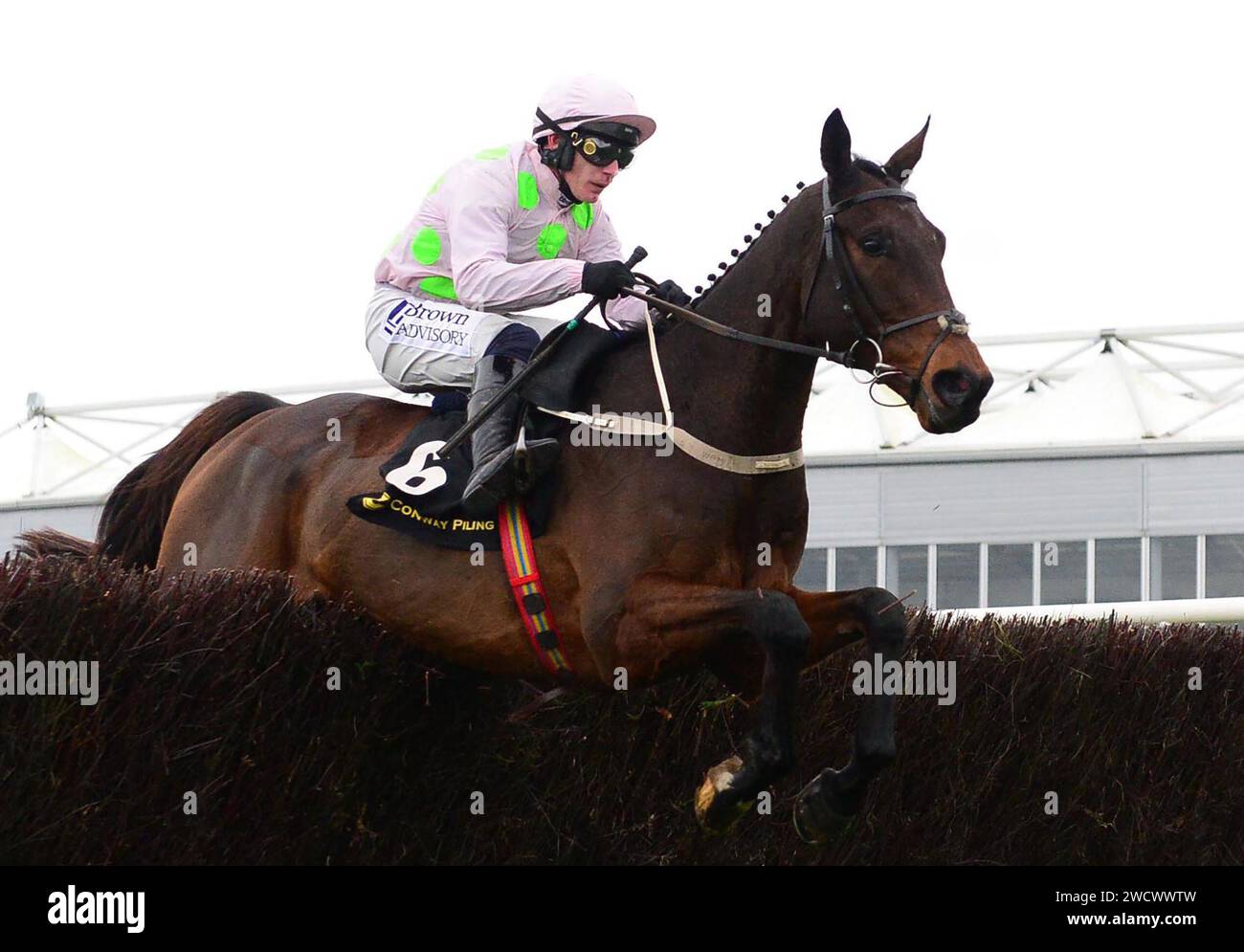 File photo dated 25-11-2023 of Gaelic Warrior, whose versatility has been hailed by Patrick Mullins - but as a result admits it means his Cheltenham Festival target is likely to be a late decision. Issue date: Wednesday January 17, 2024. Stock Photo