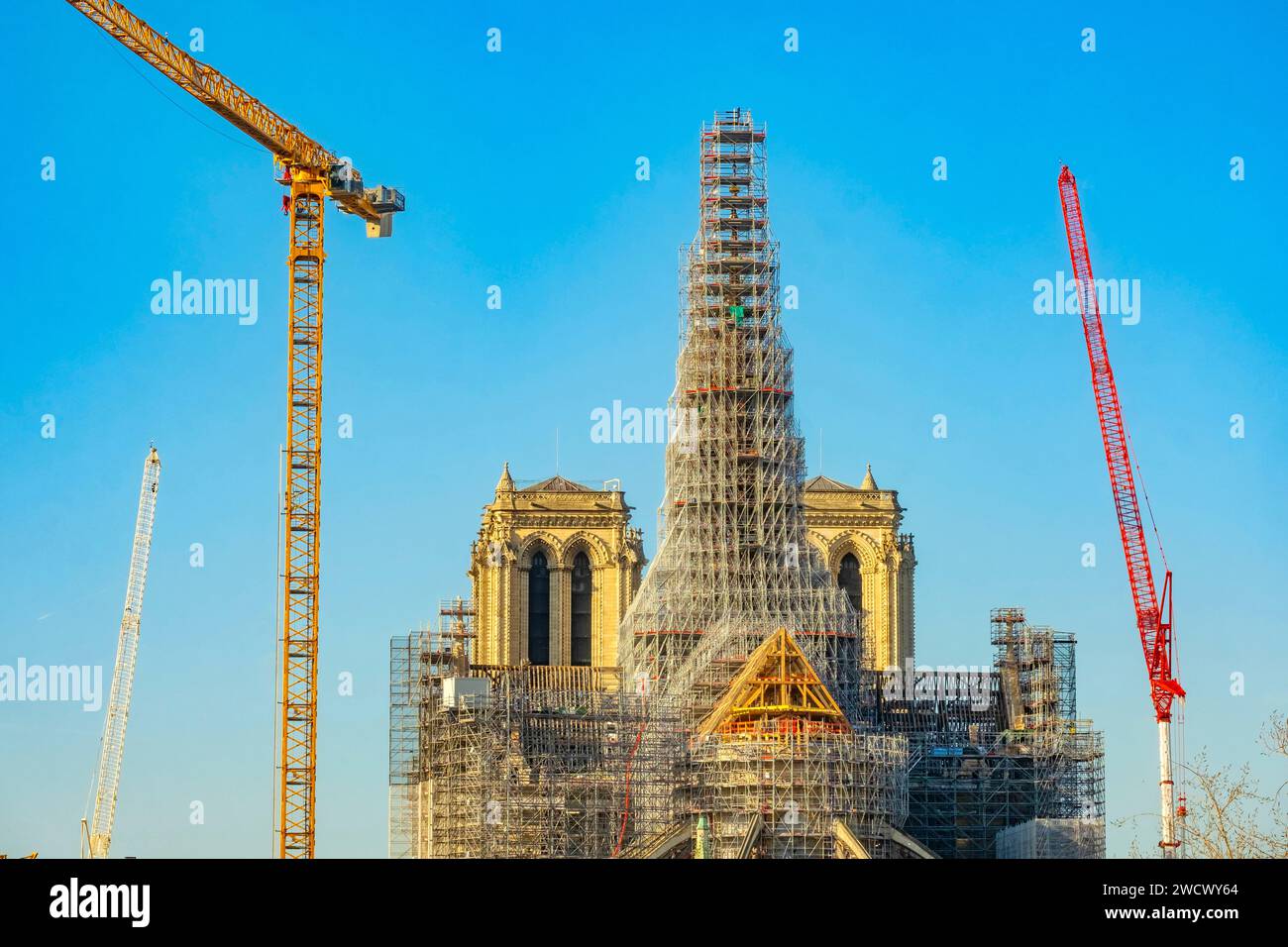 France, Paris, Île de la Cite, Notre Dame de Paris cathedral, restoration scaffolding Stock Photo