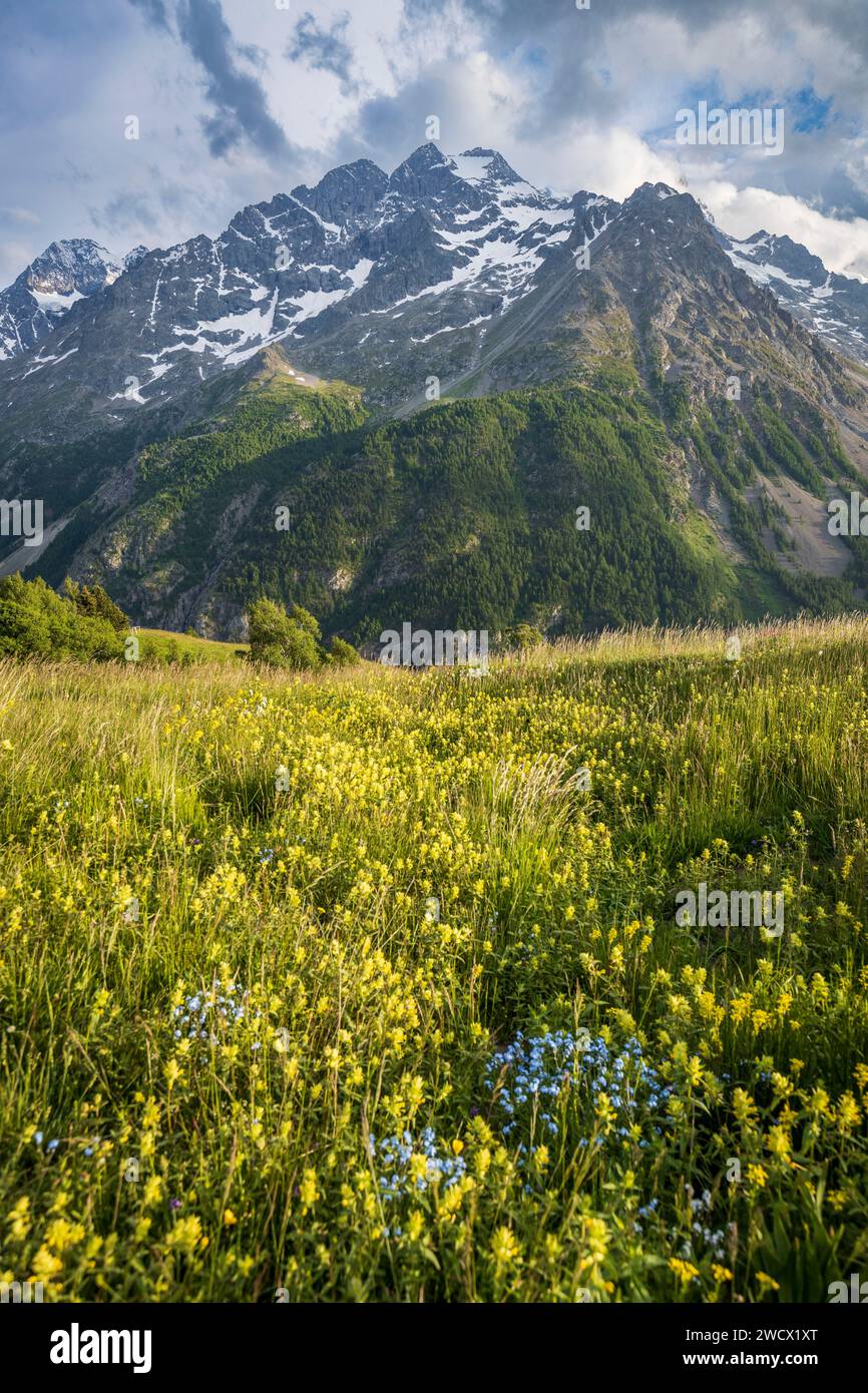 France, Hautes-Alpes), Villar-d'Arêne, high valley of the Romanche, the Meije (3983 m) in the background Stock Photo