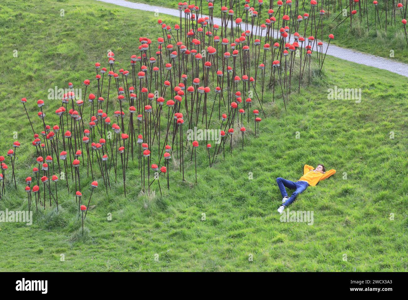 France, Nord, Dunkirk, sculpture garden of the LAAC (Lieu d'Art et Action Contemporaine), relaxation on the grass next to an outdoor work representing poppies in concrete and scrap metal by local artists Steve Abraham and Nicolas Messager Stock Photo