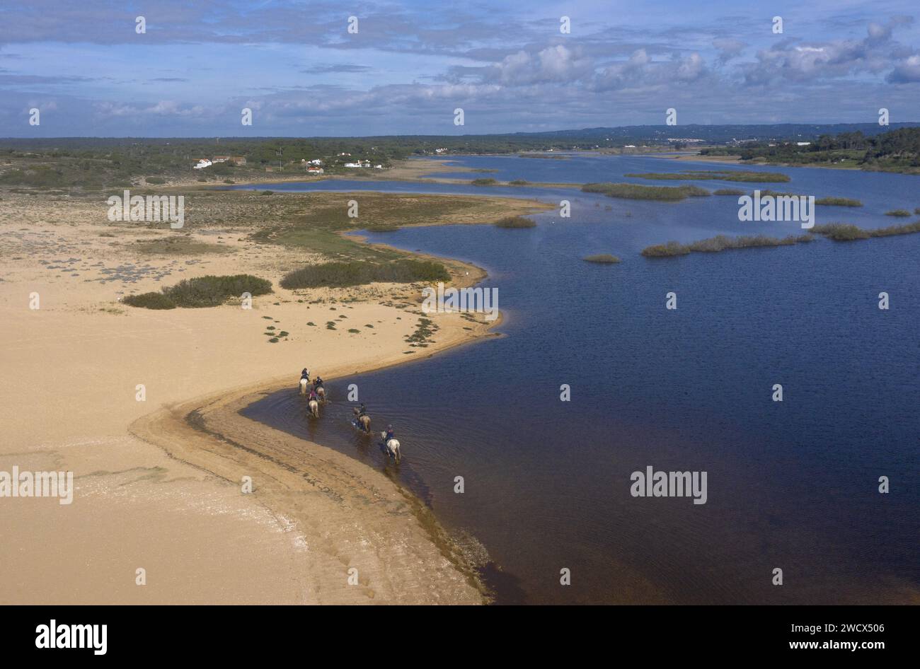 Portugal, Alentejo, Melides, riders along the Melides lagoon and its green banks planted with pine trees (aerial view) Stock Photo