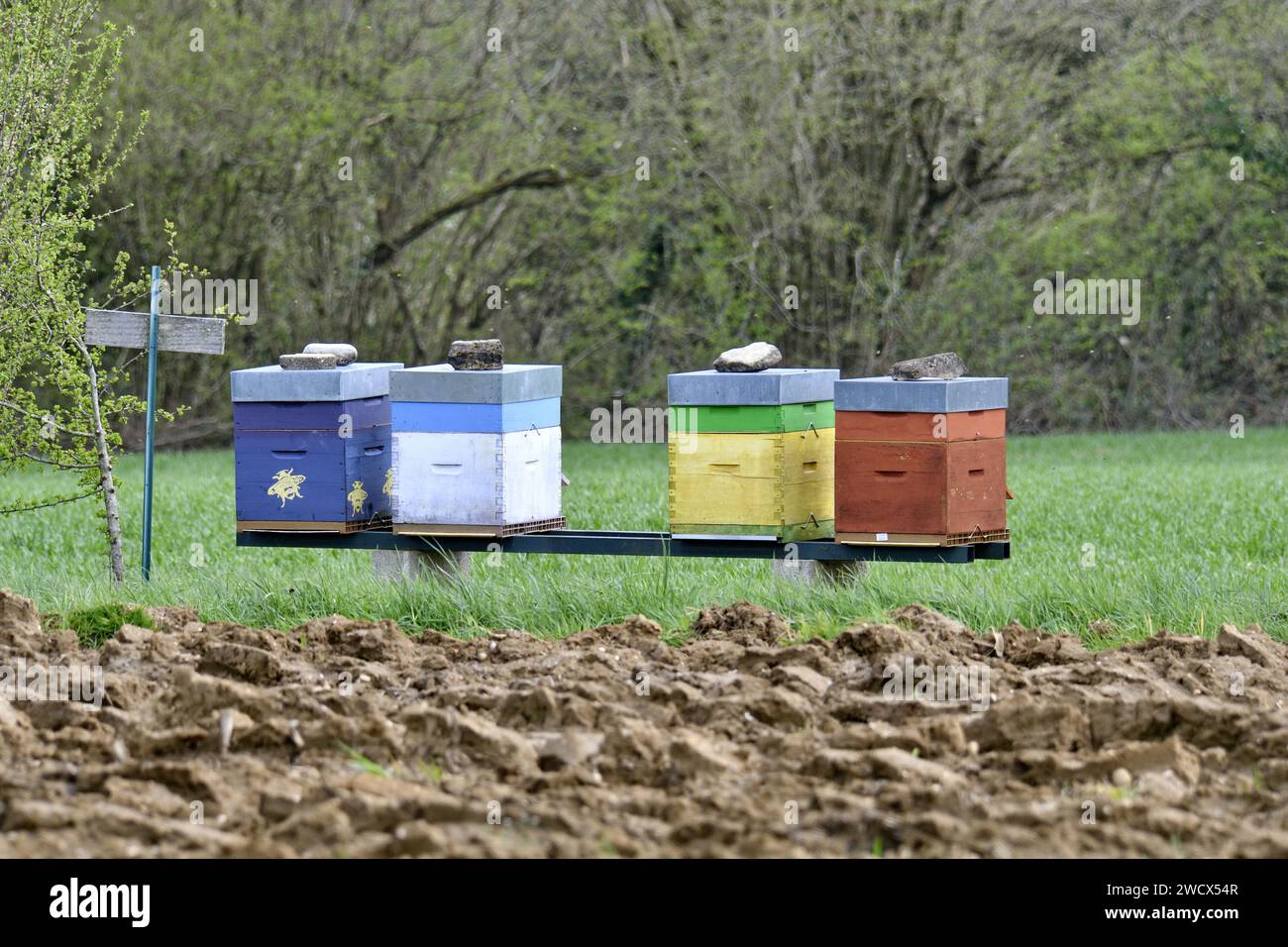 Bee hives france hi-res stock photography and images - Alamy