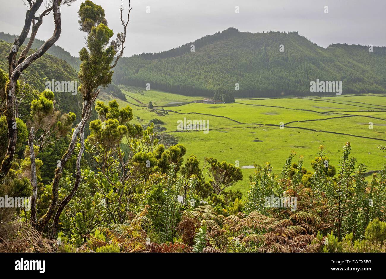 Portugal, Azores archipelago, Terceira island, Guiherme Moniz caldera, the largest crater in the Azores lined with green pastures Stock Photo