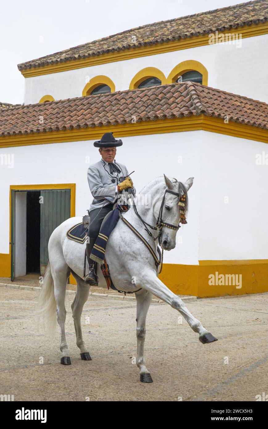 Spain, Andalusia, Jerez de la Frontera, royal Andalusian school of equestrian art, rider in Goyesque costume on a white horse performing a dressage exercise in the vaulted stables Stock Photo