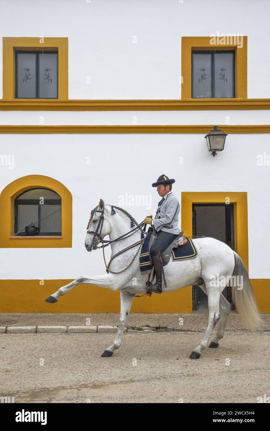 Spain, Andalusia, Jerez de la Frontera, royal Andalusian school of equestrian art, rider in Goyesque costume on a white horse performing a dressage exercise in the stables Stock Photo