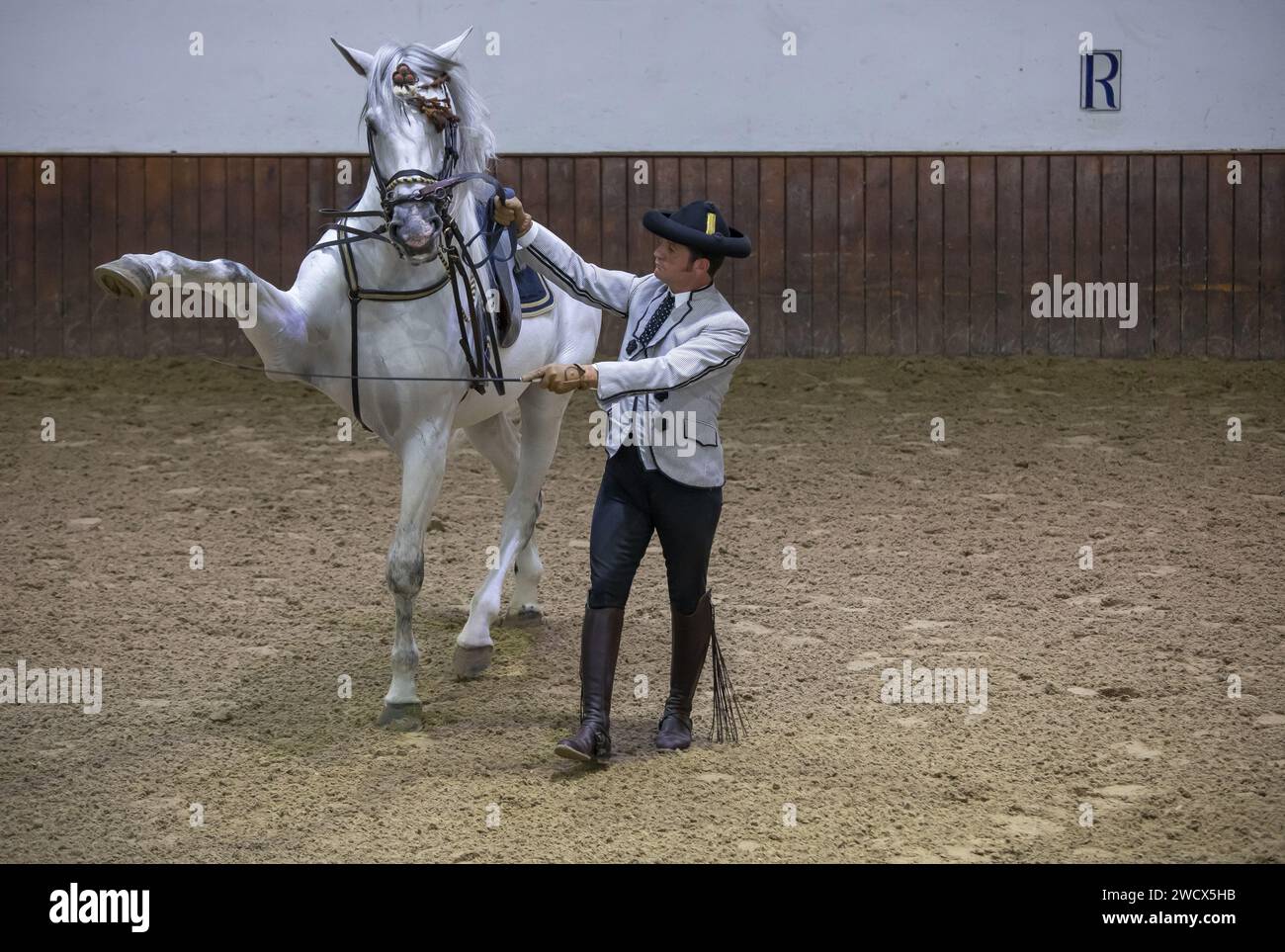Spain, Andalusia, Jerez de la Frontera, royal Andalusian school of equestrian art, rider in Goyesque costume performing a dressage number with a white horse during an exhibition show of doma vaquera, the art of Andalusian dressage Stock Photo