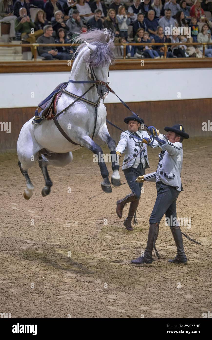 Spain, Andalusia, Jerez de la Frontera, Andalusian royal school of equestrian art, riders in Goyesque costume alongside a white horse performing a caper during an exhibition show of doma vaquera, the art of Andalusian dressage Stock Photo