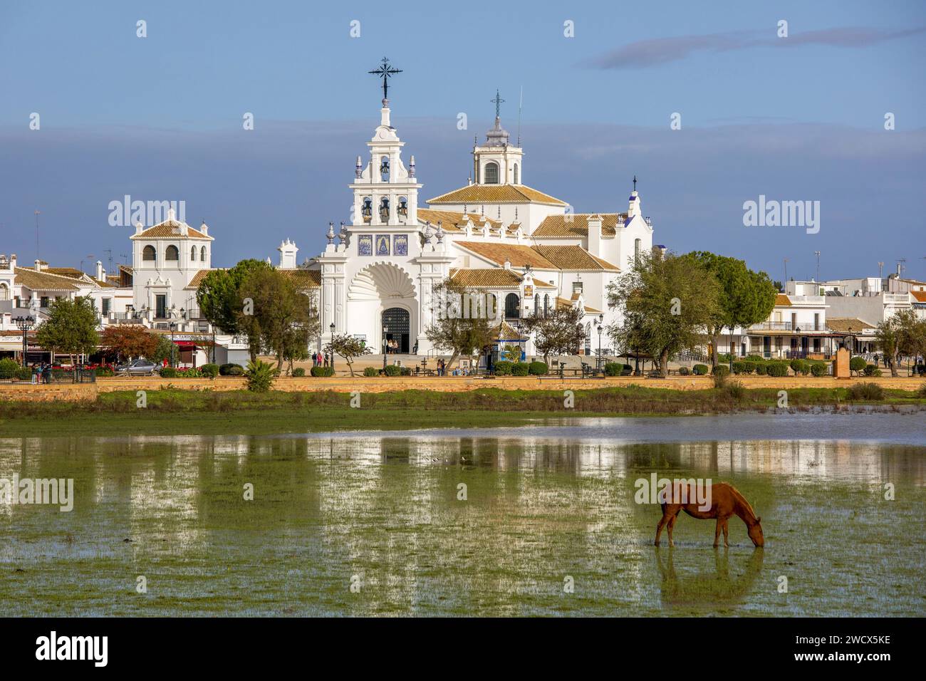 Spain, Andalusia, El Rocío, horse in the marshes in front of the main square of El Rocío where the hermitage Nuestra señora dEl Rocío stands Stock Photo