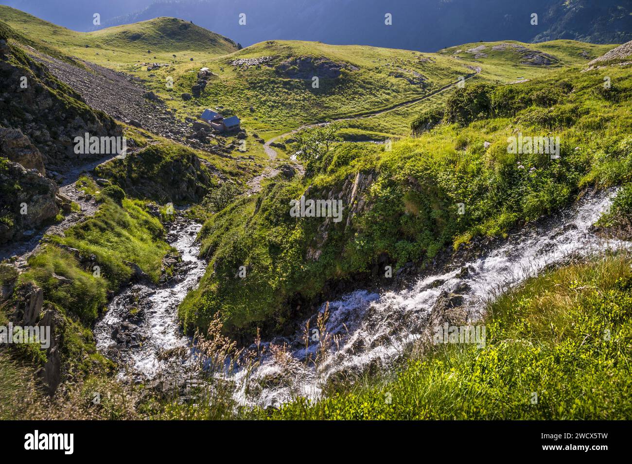 France, Pyrenees Atlantiques, Béarn, Ossau valley, Pyrenees National Park, waterfall leading to the Roumassot hut and its herd of ewes and goats in summer pasture Stock Photo
