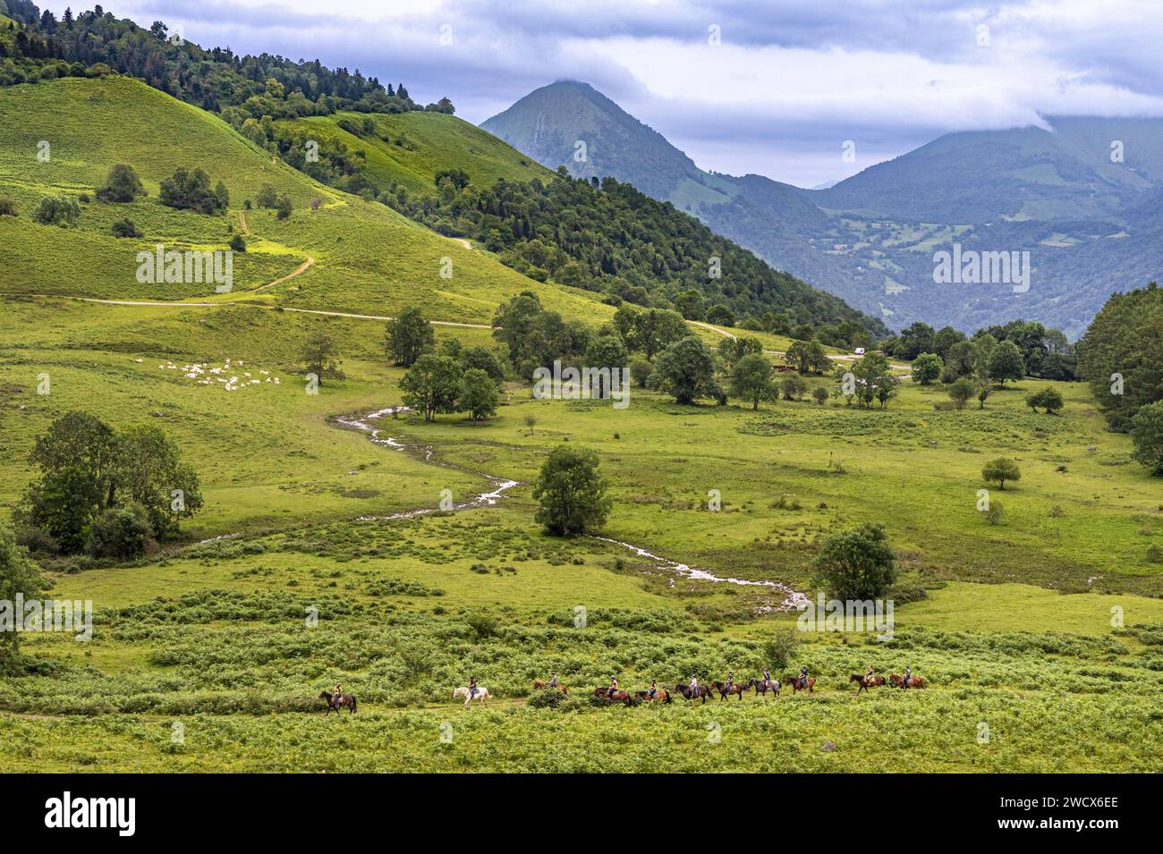 France, Pyrenees Atlantiques, Béarn, Ossau valley, horse riding on the Benou plateau, Bilhères Stock Photo