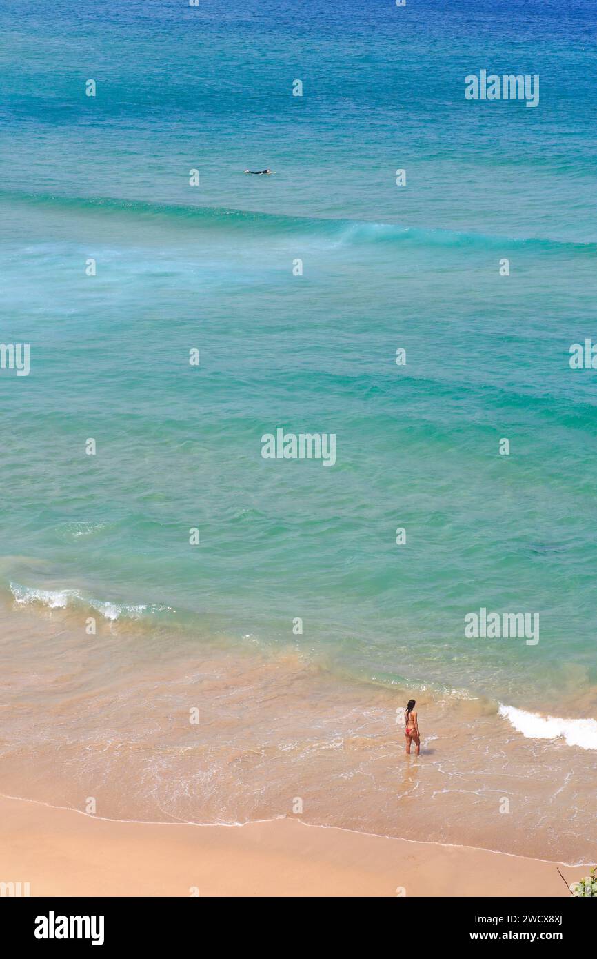 Pam Bondi visual data 5