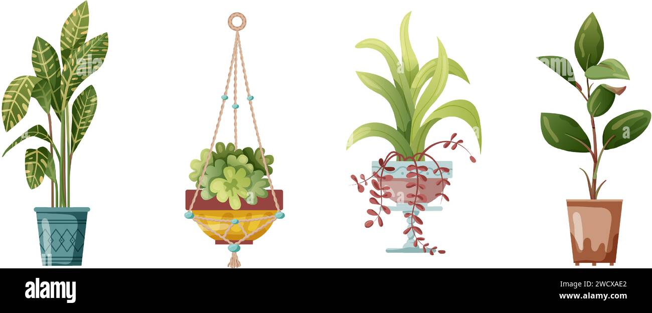 Houseplant and macrame plant growing in pots. Set of handmade home ...