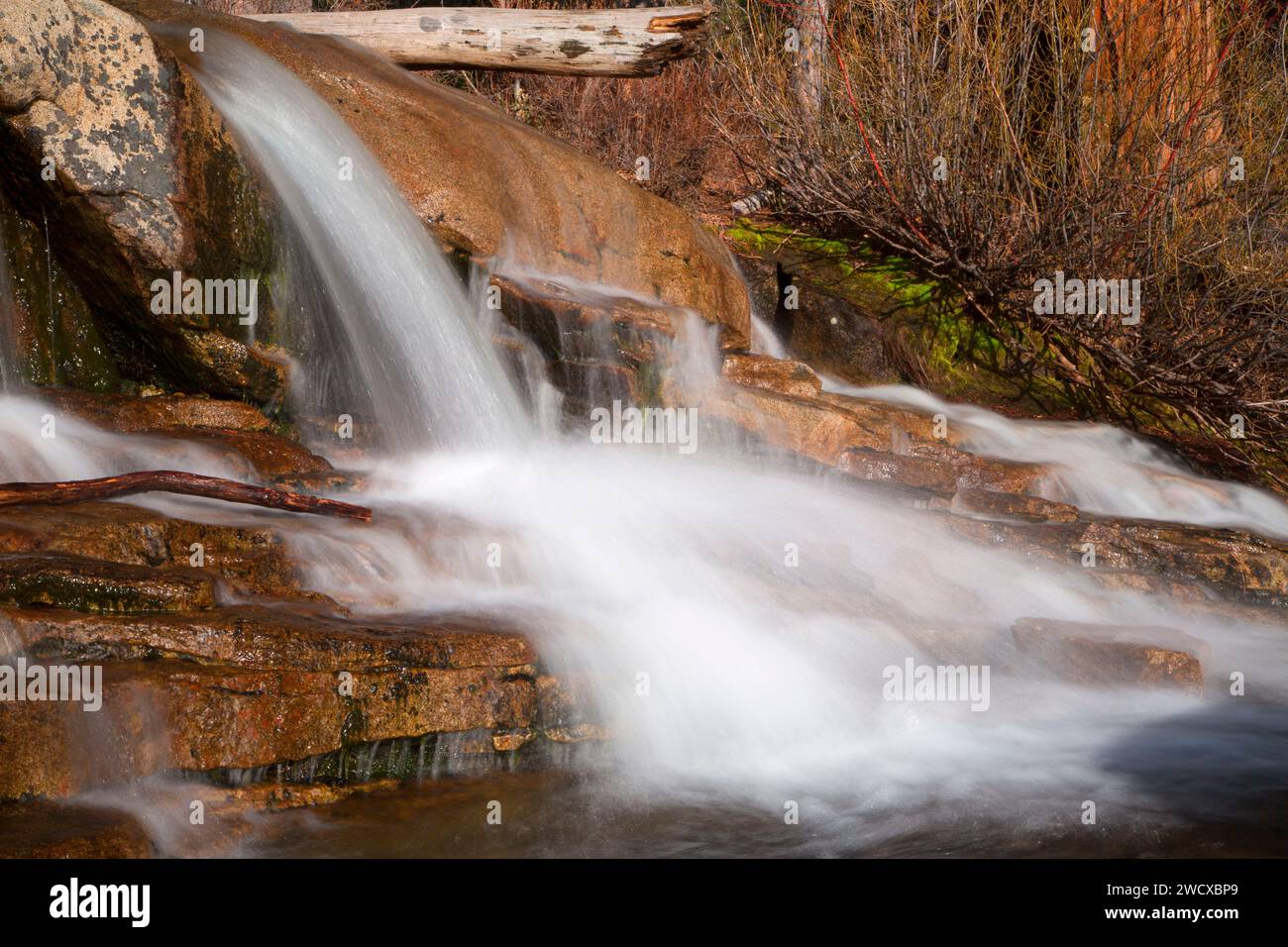 El (deity) visual data 5