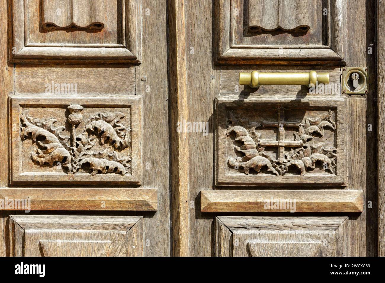 France, Meurthe et Moselle, Nancy, detail of the sculpted door made of wood of an apartment building representing a flower of thistle and the cross of Lorraine located Rue Mon Desert Stock Photo